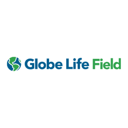 Gallery Logo