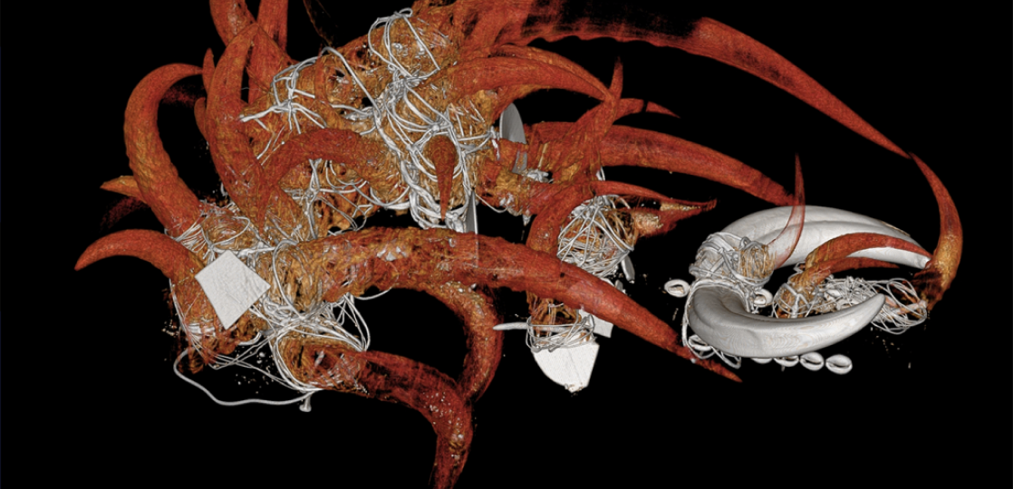 Dallas Museum Of Arts